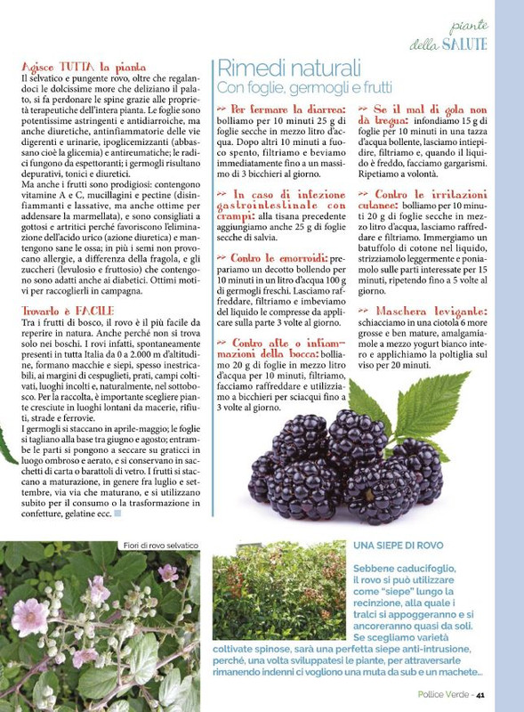 Pol Ver Set 2021 (8)