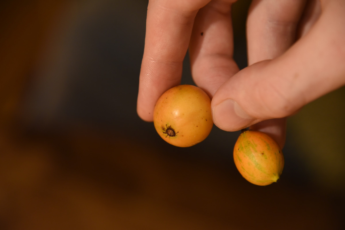 1AE0CBF3-020C-446D-A025-BDE447916A0F