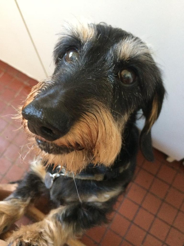 [Image: IMG-20230817-WA0002.jpg]