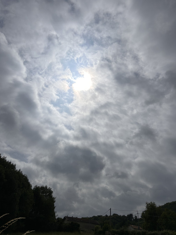 IMG-1446.jpg