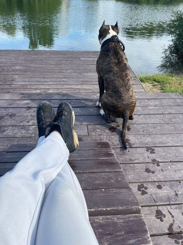 15018192-A93F-47C7-B202-CE0EB19E57F2