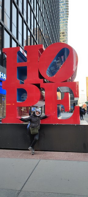 Nueva York 2022 - Blogs de USA - Compras y patinaje (27)