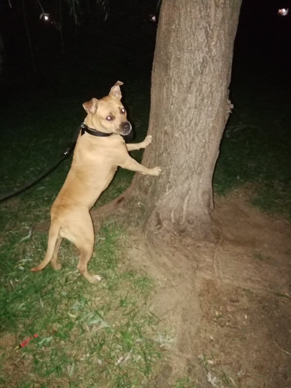 8B9F2685-9D92-466A-8A4C-82E762DA6BF3