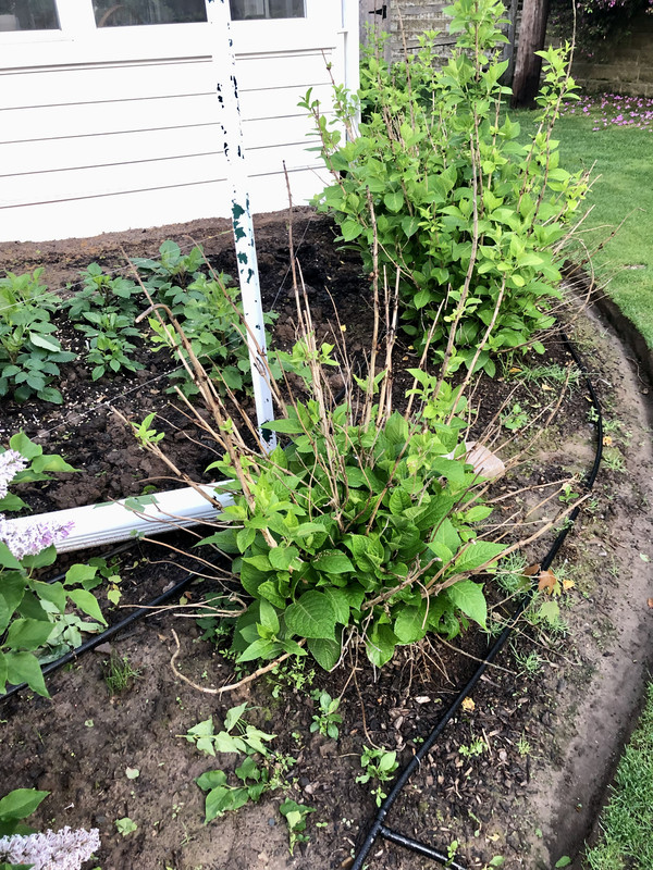 B2ABBC7C-2EA7-4386-8820-7CD4C9E57DB1