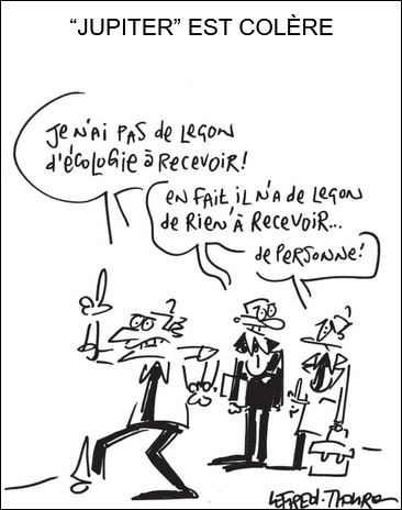 text alternatif