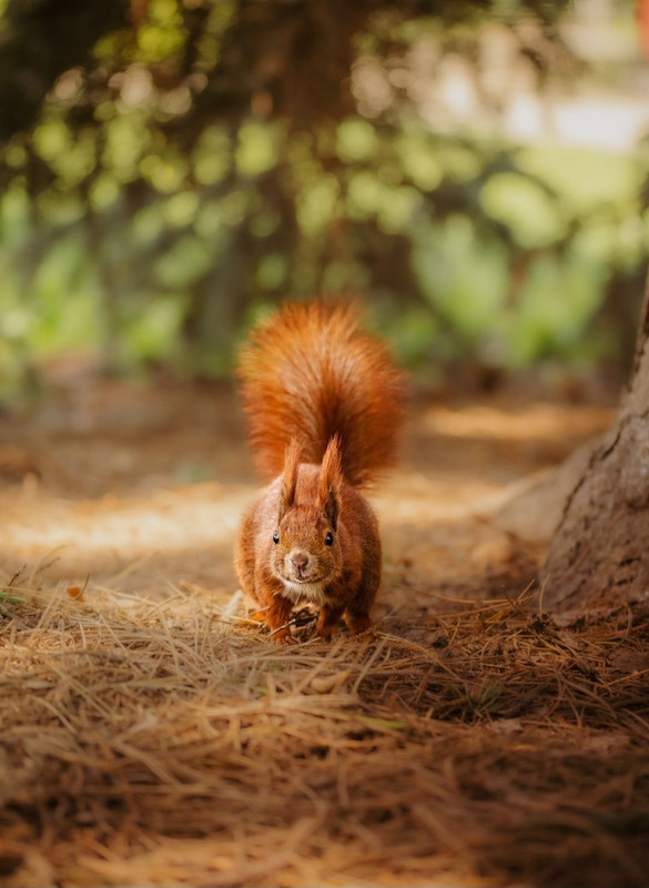 Screenshot_20240501_145747_Threads