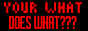 YOUR WHAT DOES WHAT