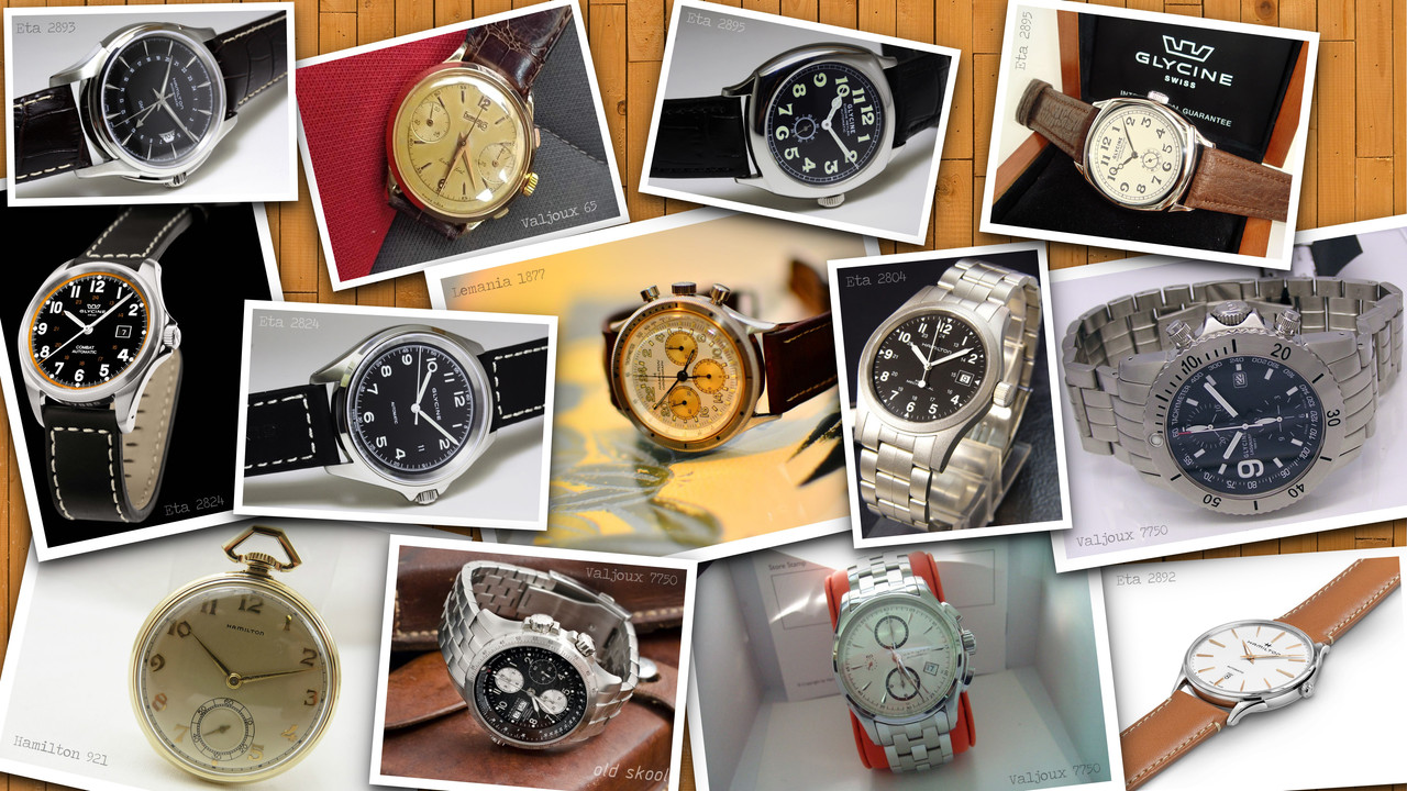 Montres pour nouveaux membres PROVA-3-DI-8