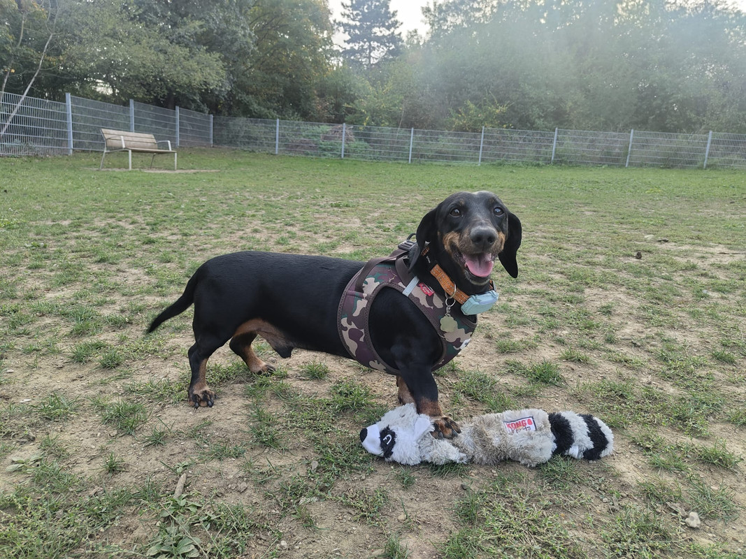 [Image: IMG-20251009-WA0012.jpg]