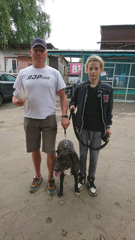 29012B2D-8DAE-47DE-A687-454E5DDF8AF0