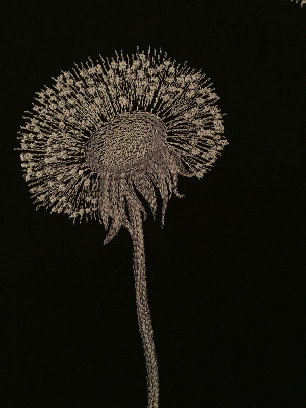 IMG_0037уменьшенный