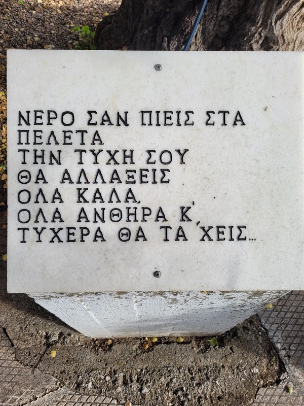 20230617-080600.jpg