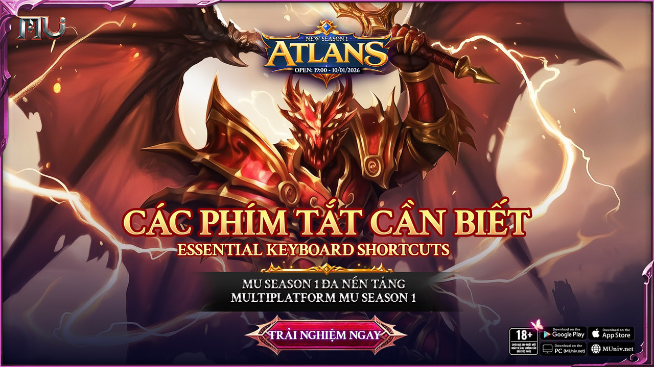 Các lệnh thường dùng