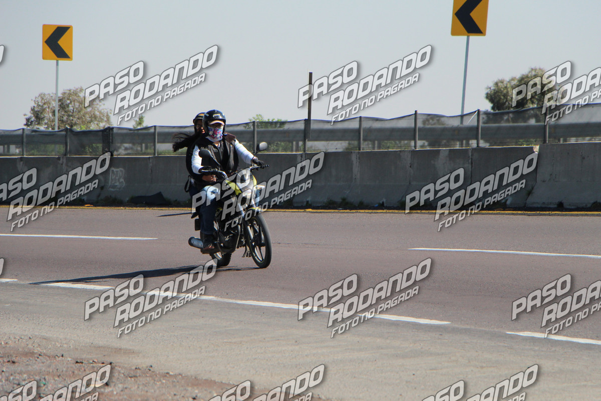 IMG 3361 wm 1984314 6 watermarked — Postimages