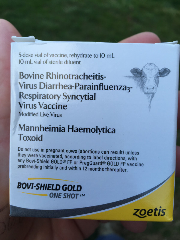 1BF9E5C8-79FD-487A-BD9D-611027F2523C