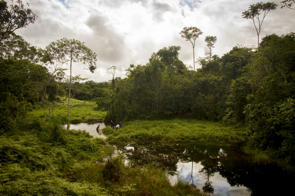 Work-at-the-wetland-MLC.jpg