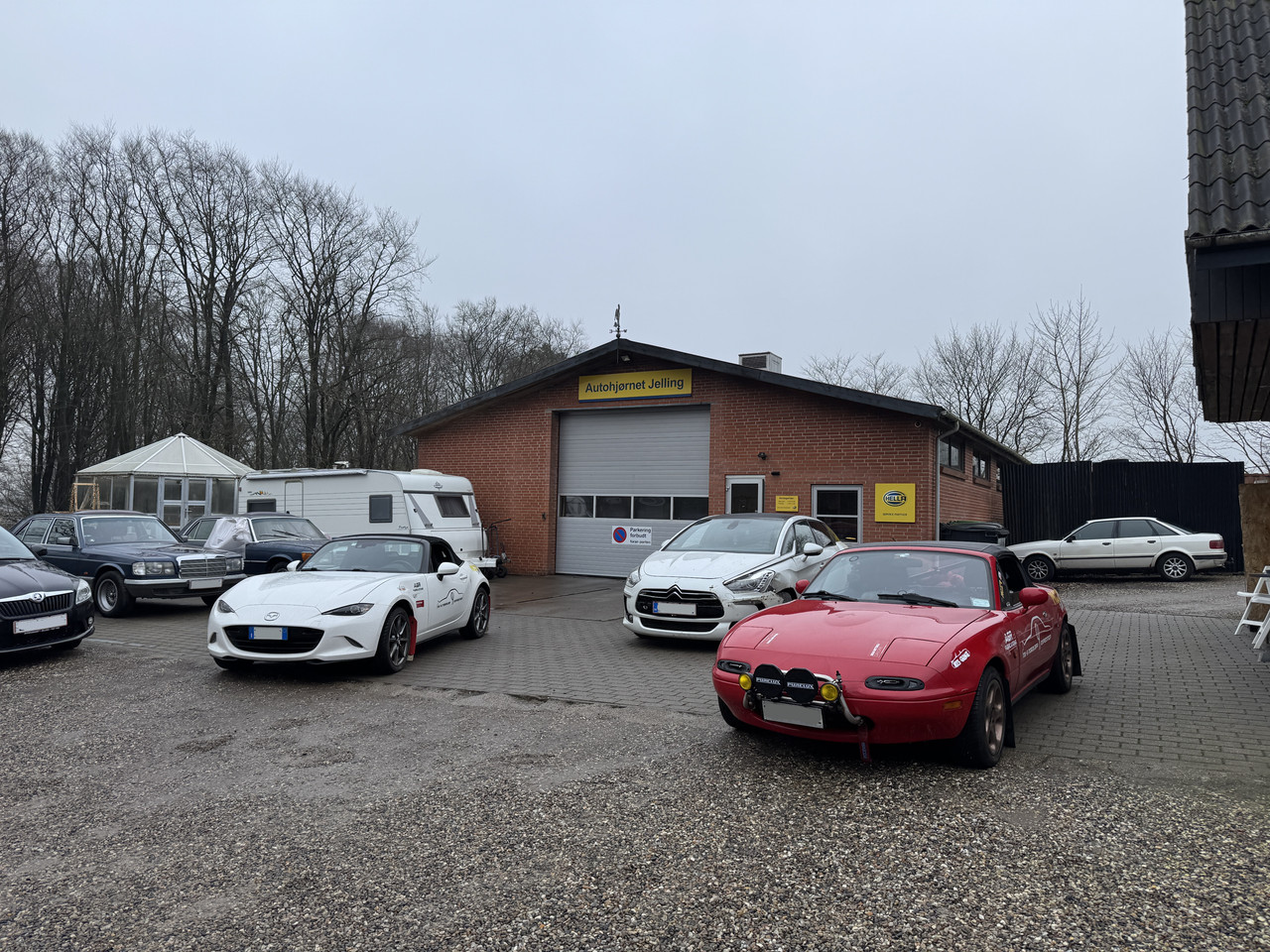 [Immagine: IMG-9905.jpg]