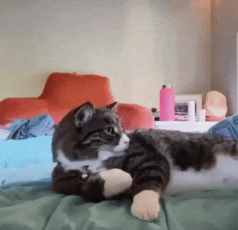 daily-gifdump-3408-07.gif