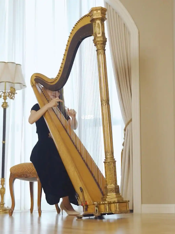 Harpist playing pedal harp