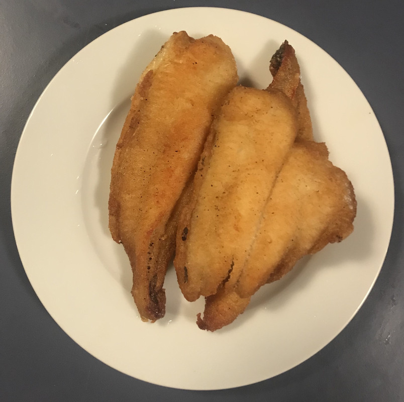 40477292-0F1A-4413-B948-086794878B7E