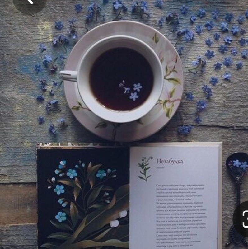 Screenshot_20230316_022658_Pinterest