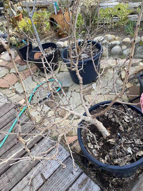 B1EF1880-D2E9-4FBE-8BA2-09540DA47A0A