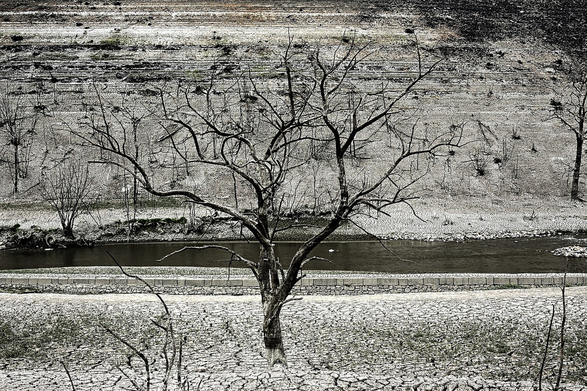 Réchauffement climatique  Guerl-dan-3-In-Pixio