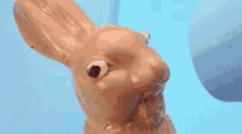 1000012620.gif