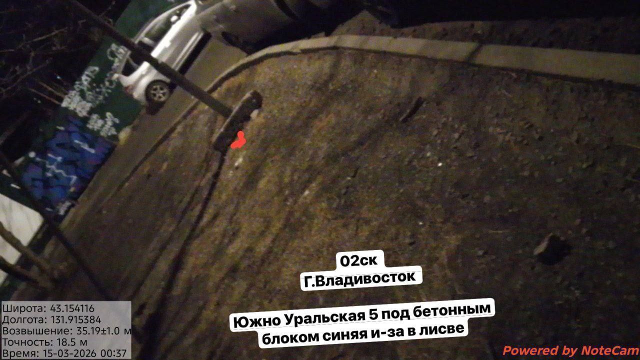 IMG 4713