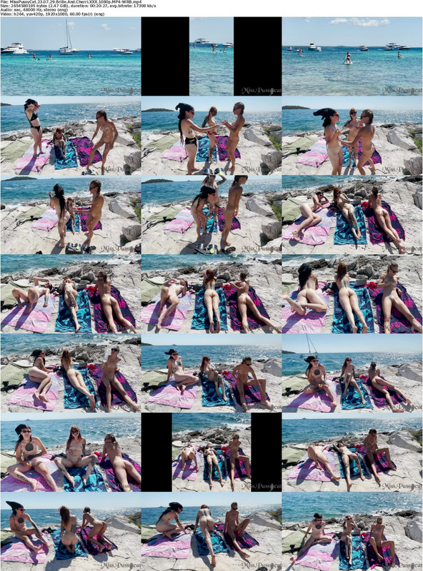 03082023052316screenshot