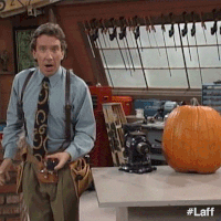 Timthetoolman-Taylor.gif