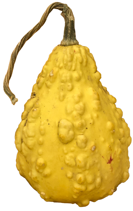 Gourd 2