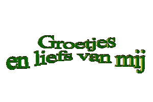 13.gif