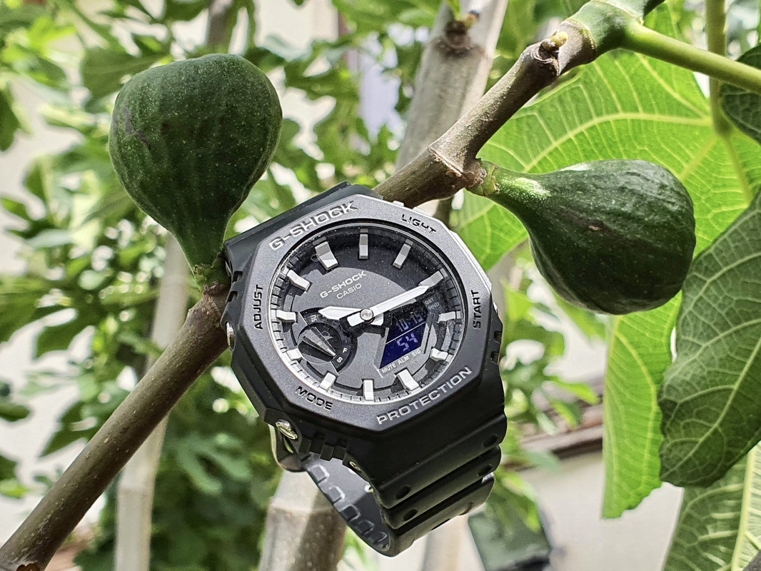 64F39D4C-CA64-4805-9E78-6238F96E070B