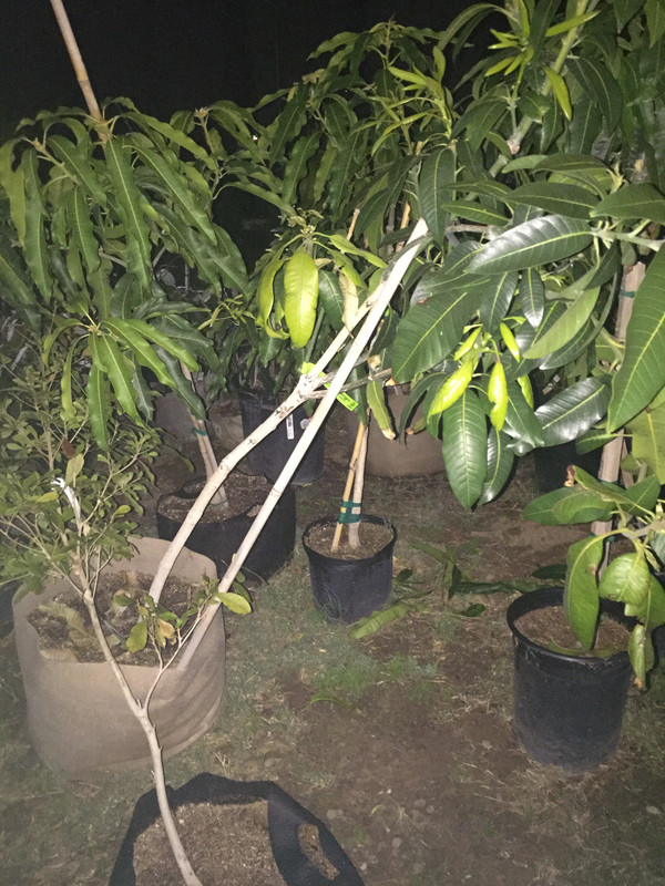 8D05EAC3-A85C-4D72-99A9-73CDA4001091