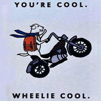 Cool-Wheelies