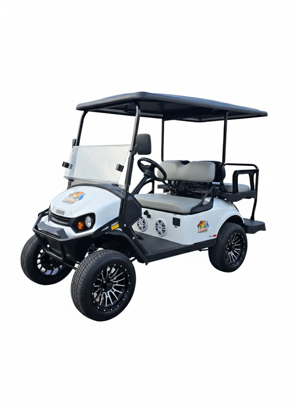 4-Passenger Electric LSV Rental