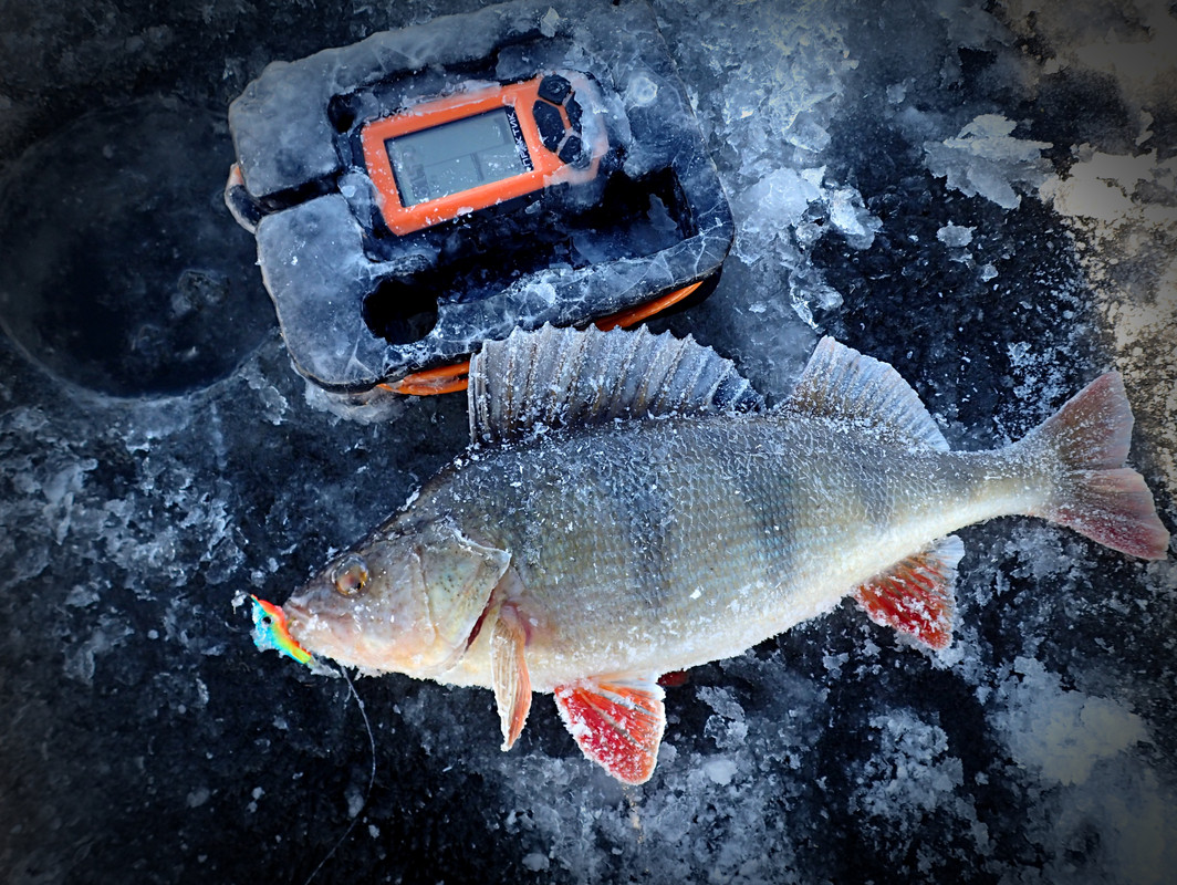 Winter Fishing in Nyagan photos and Reviews