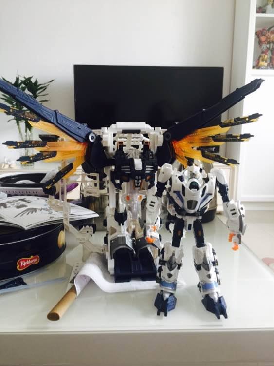 12651113_207688062914962_5534207578551825521_n