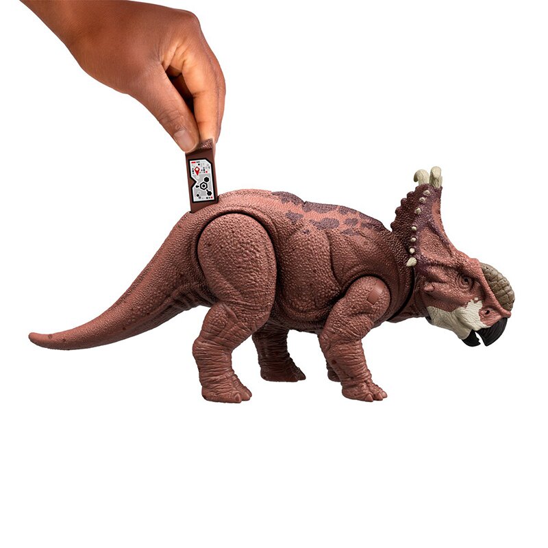 Pachyrhinosaurus-09-scaled-800