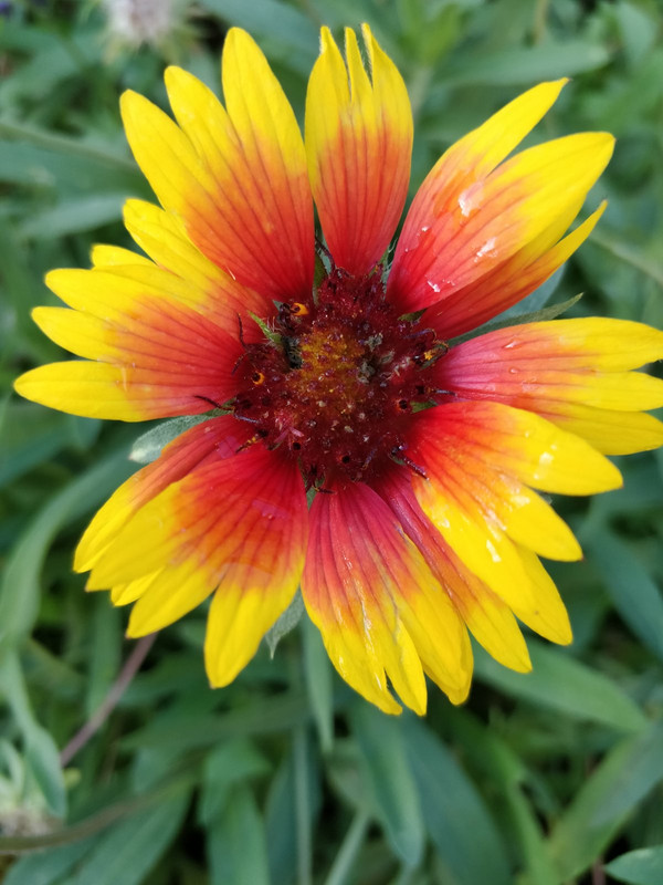 изображение_viber_2023-10-30_11-03-38-043