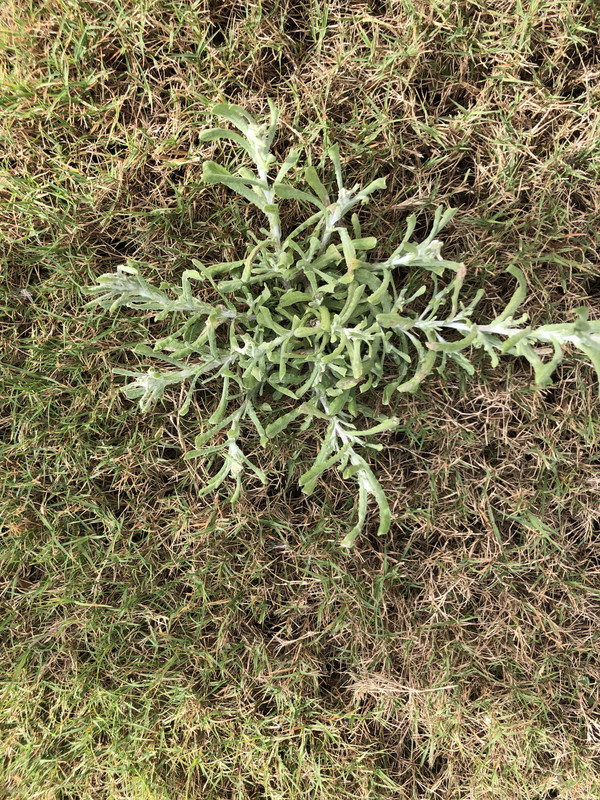 33B68D42-0964-45B0-A8E4-09121595BBFD