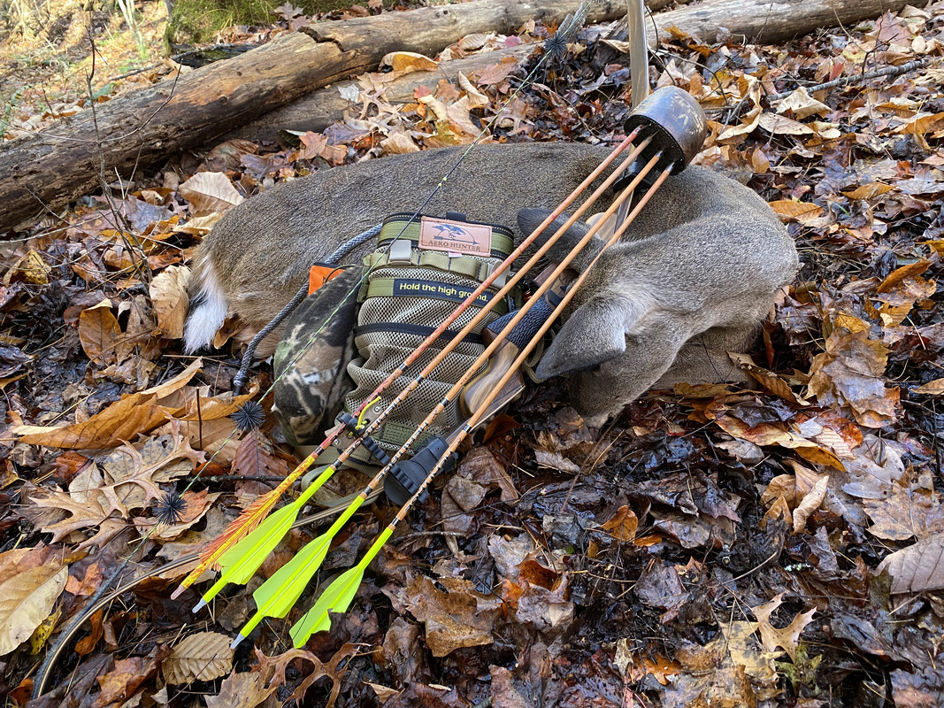 872E03A8-2AC5-4855-9F61-8E0FEE4E357C