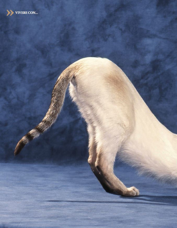 Argos Dic 2022-Gen 2023 (9)