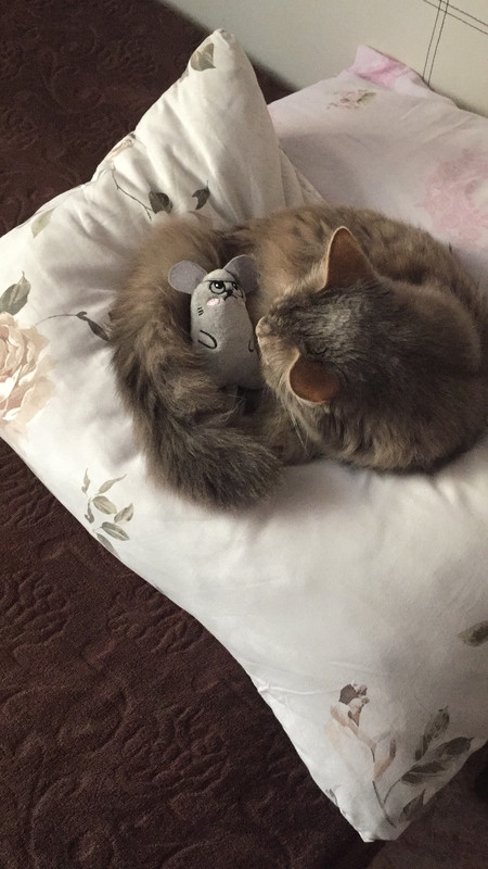 7C66F3B8-BC09-4F81-BAF9-2A1C767691BD