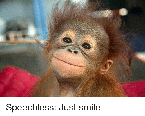 speechless-just-smile-5679821