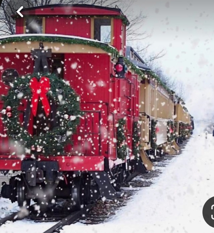 Screenshot_20231224_213427_Pinterest