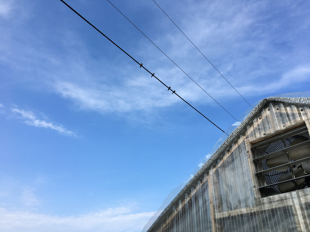 F5A2D298-4973-485C-AD96-658D99AAC740
