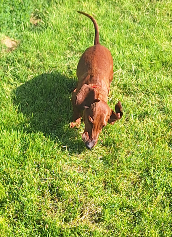 [Image: 20250529-092635.jpg]