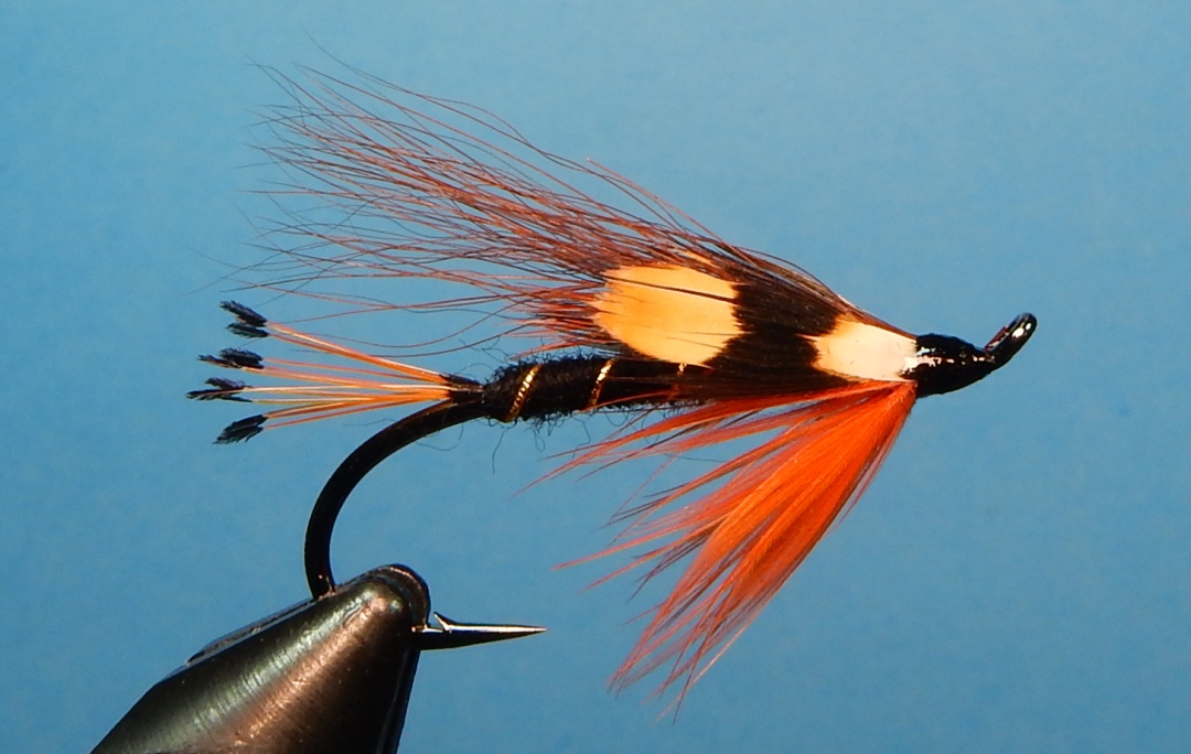 Thunder-Lightning-Polly-s1080.jpg